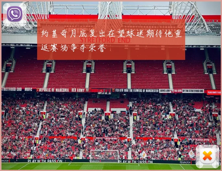 约基奇月底复出在望球迷期待他重返赛场争夺荣誉
